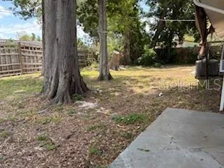 Back yard
