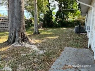 Back yard