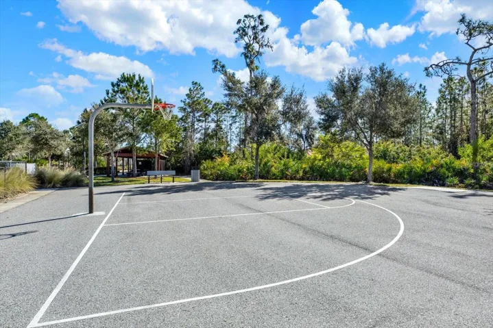 Basketball Court