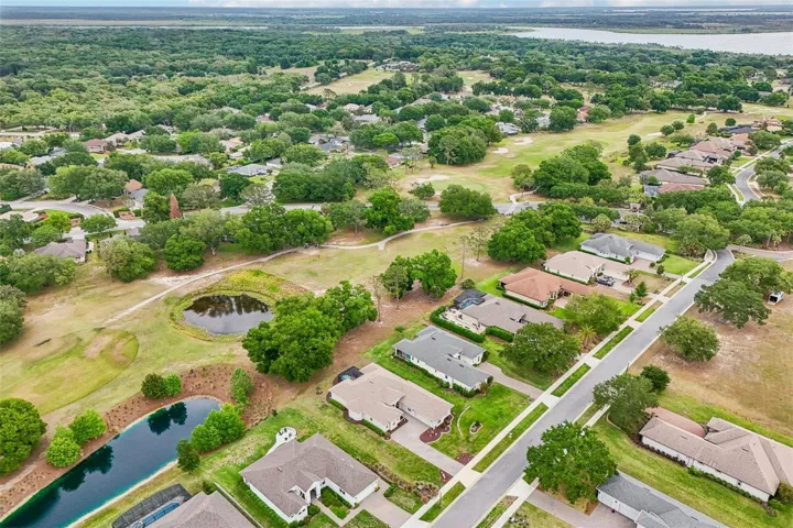 Lake Griffin in the background