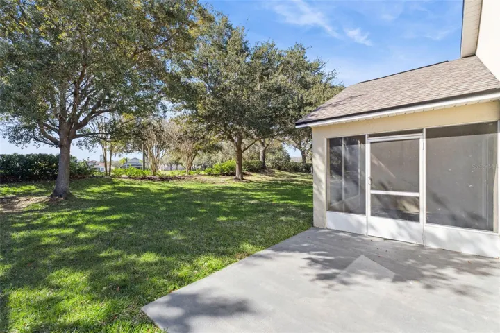 Concrete Patio & backyard