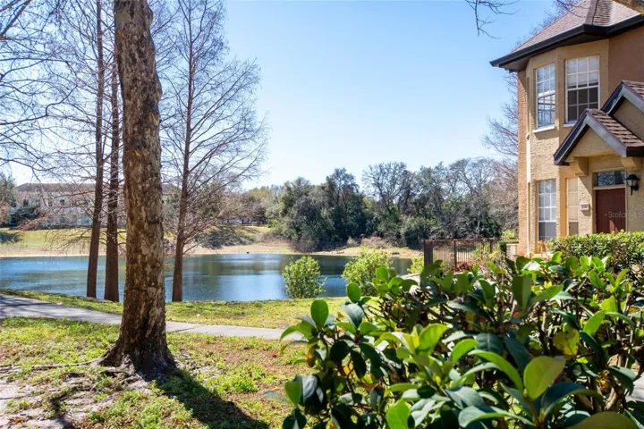 View from patio.