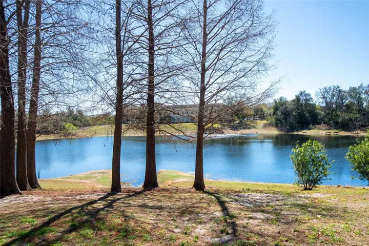 Pond.