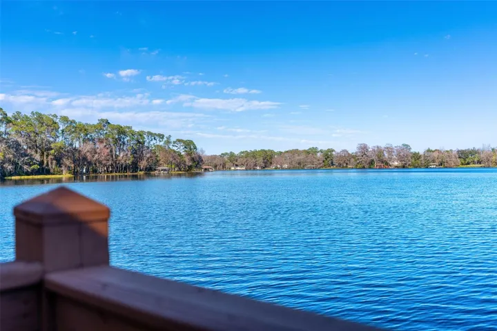 View from Common Dock on Lake Drawdy