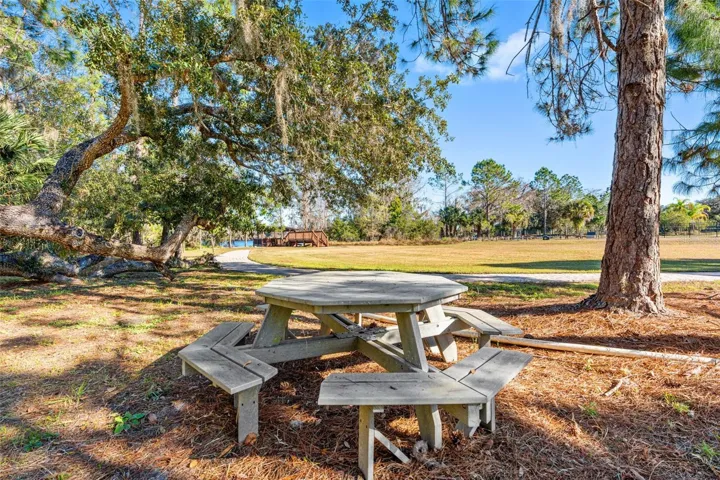 Common Picnic Area