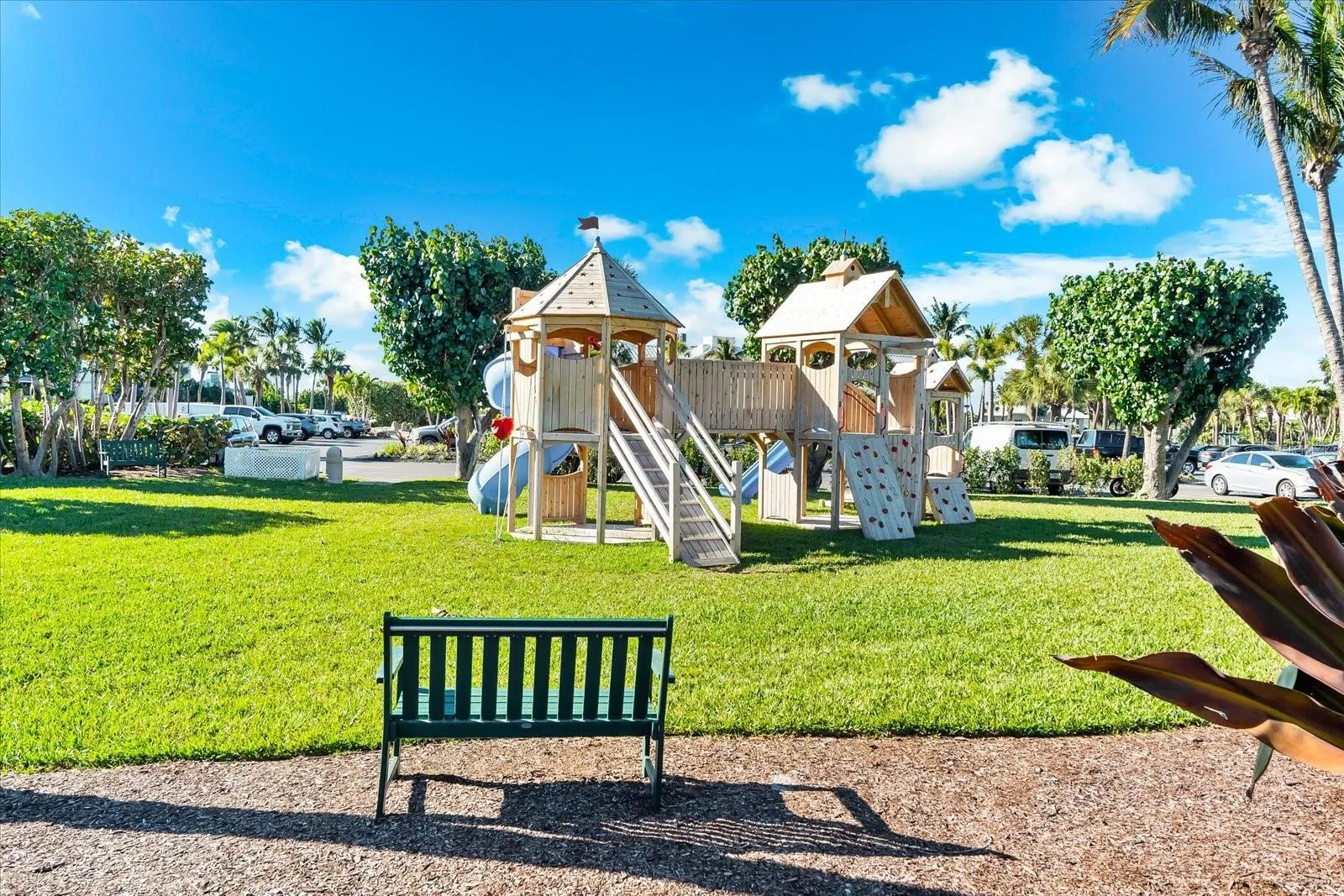 Playtime Under The Sun