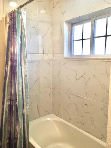 Master bath shower/tub