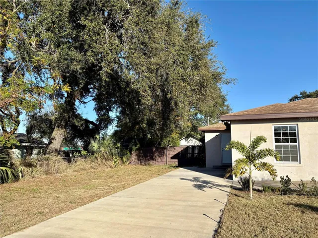 Driveway & side yard area