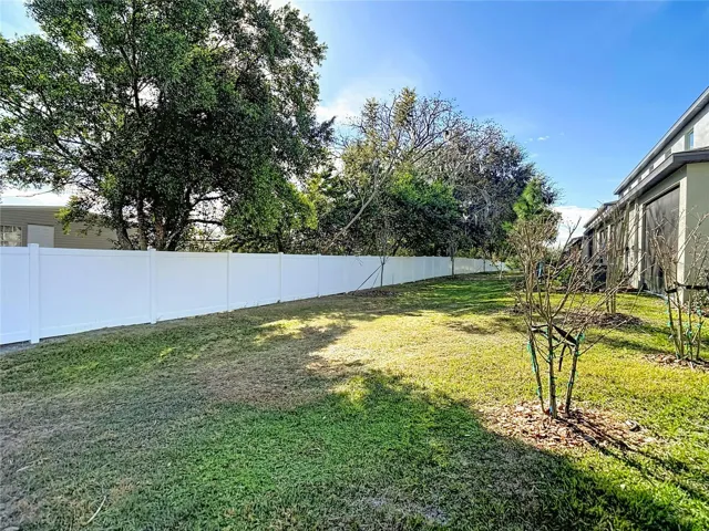 Nice Spacious Back Yard