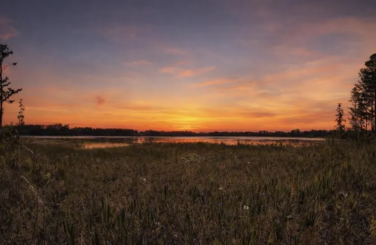Sunset on Pine Island Lakefront Shoreline