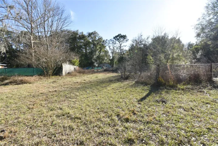 Backyard
