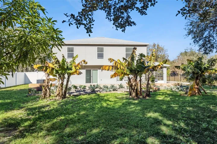 Back Exterior & Backyard