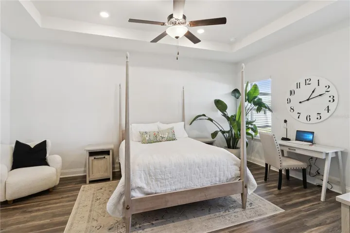 Primary bedroom with tray ceiling