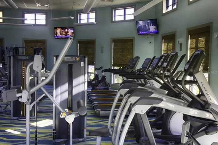 The Oasis Gym