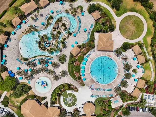 The Oasis