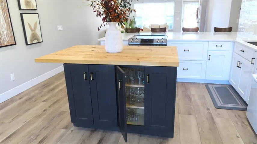 Lots of Under-the-Counter Storage