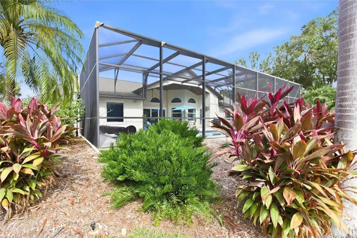 Pool Cage and Landscaping