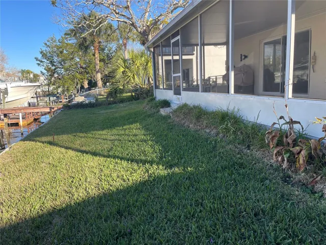 Back yard