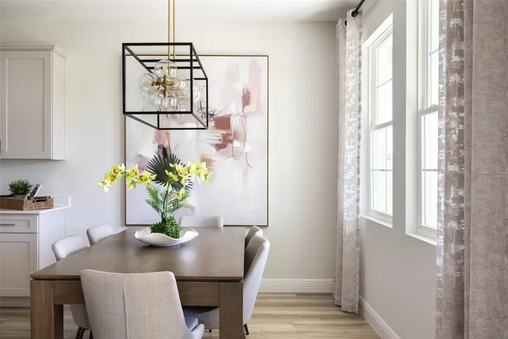 model home/virtually staged