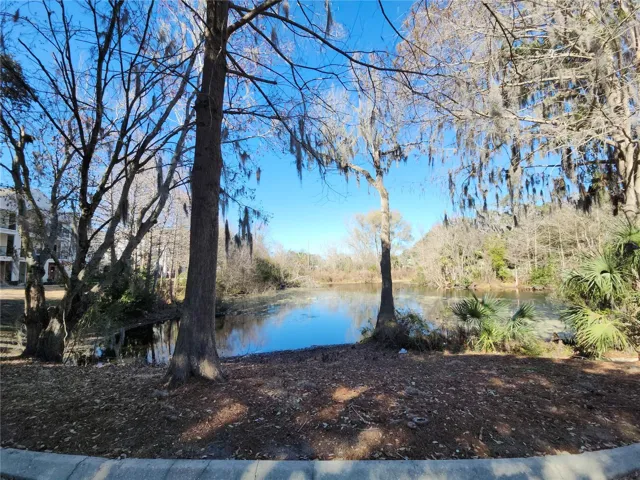pond behind building