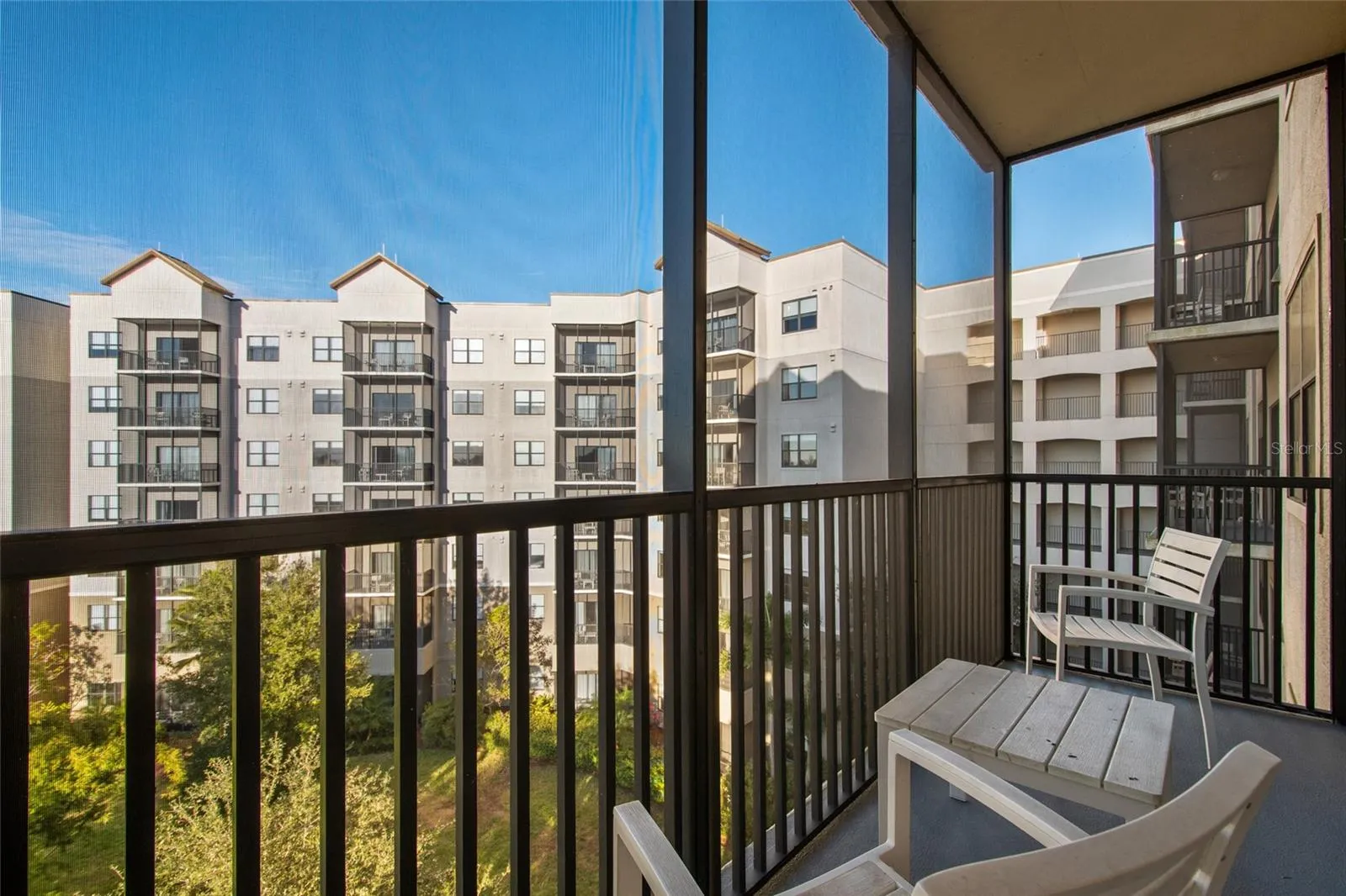 Treetop view