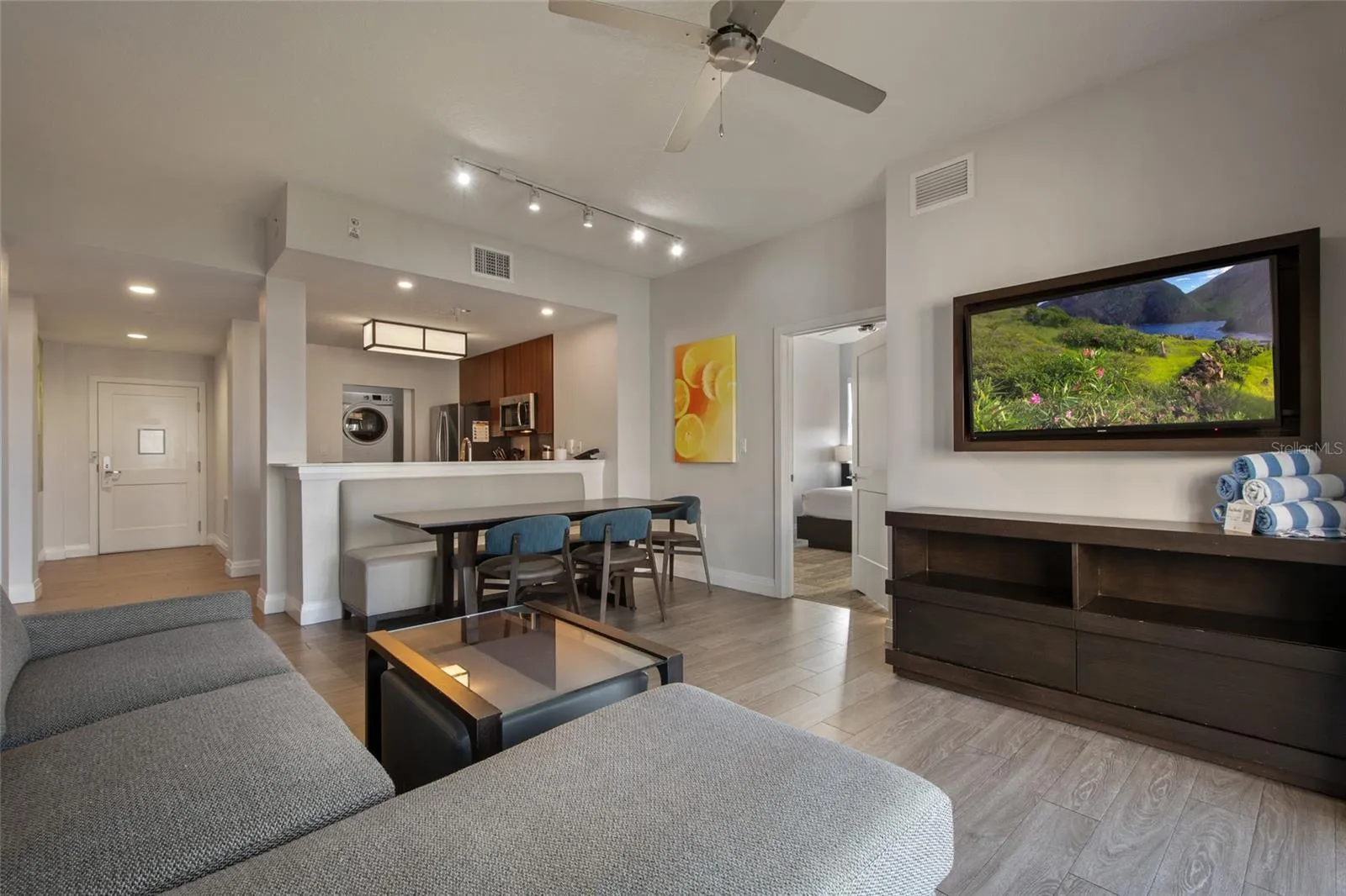 Wall mounted flat screen TV