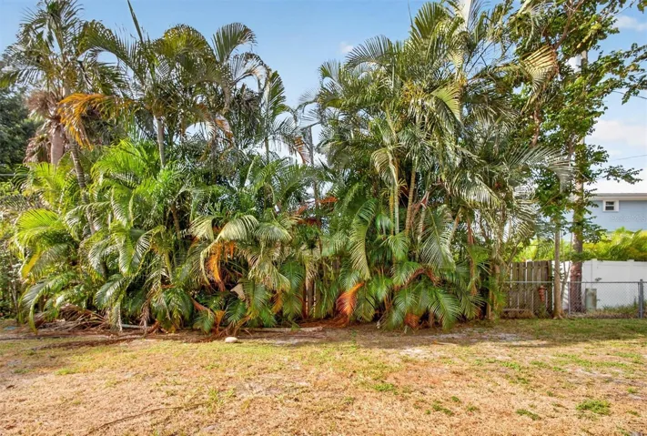 Backyard privacy.
