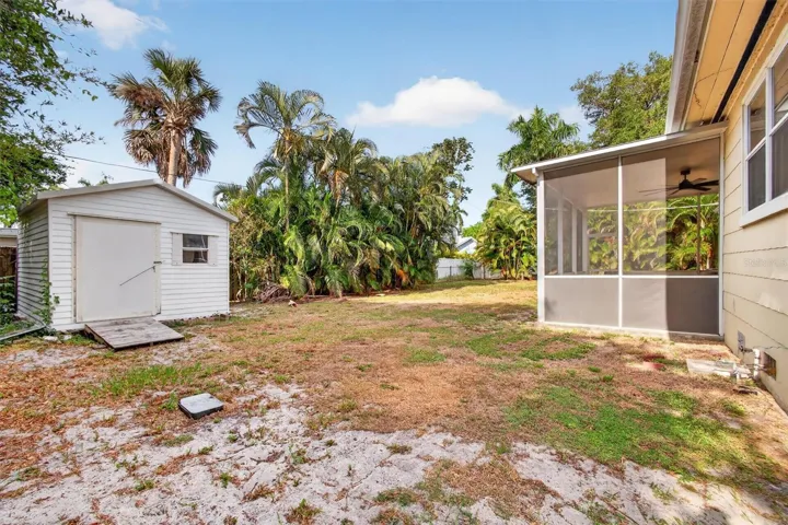 Backyard