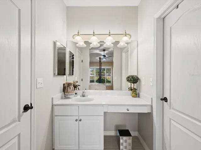 Primary Bath Vanity