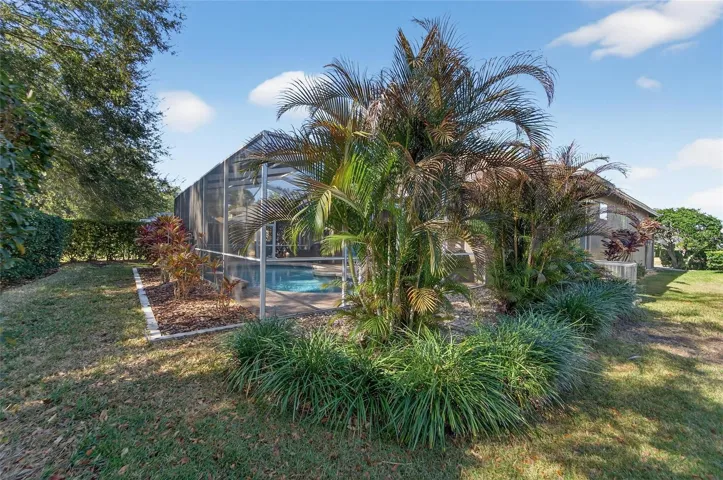 Left rear yard