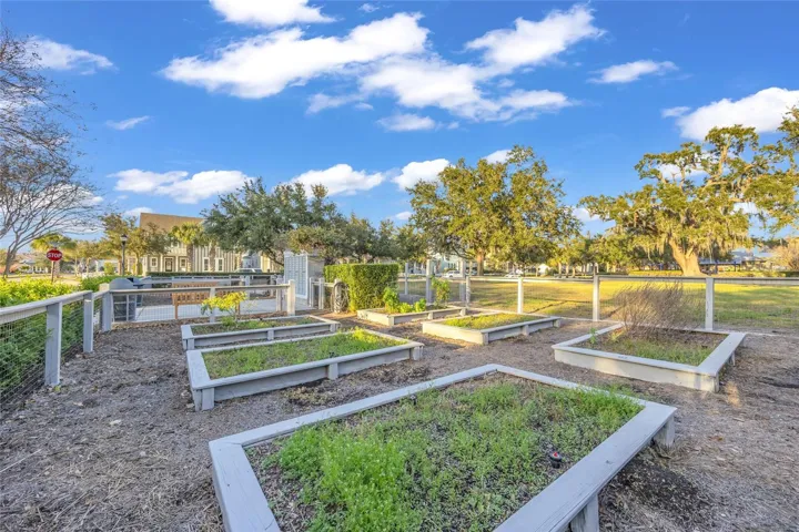 community garden