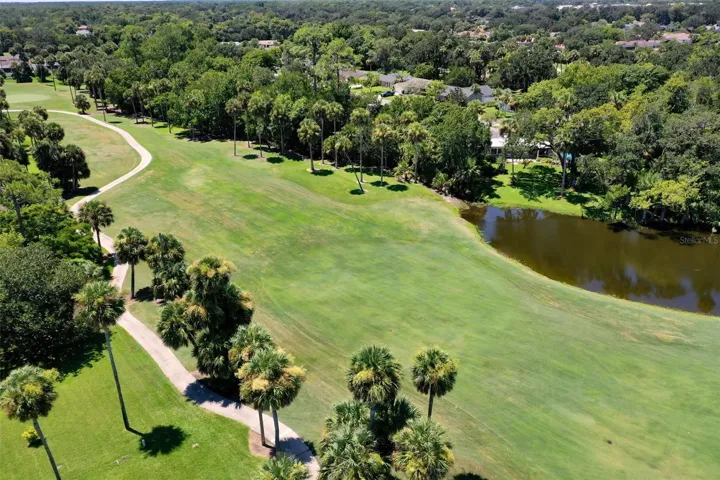 Palm Harbor Golf Course: wide fairways, great conditions, and classic Florida scenery