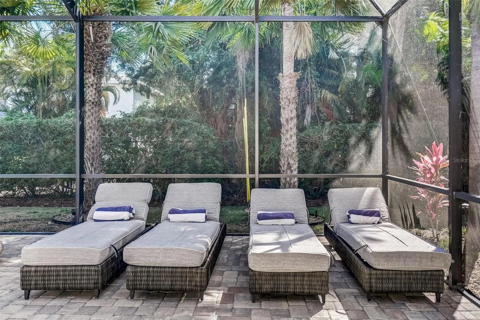 Chaise Lounge chairs
