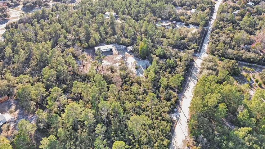 Ariel View