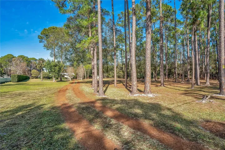 Front Drive