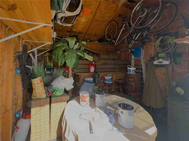 Look what you get in the shed!