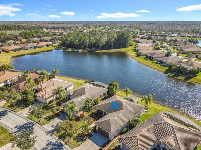 Neighborhood Overview