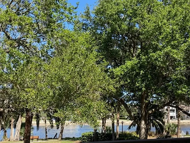Unit 95: Enjoy This view every Day!