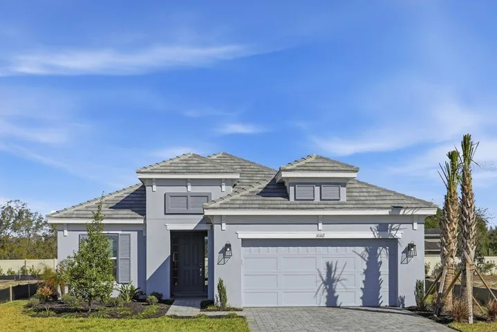 30167 Imperati ~ Ready Now