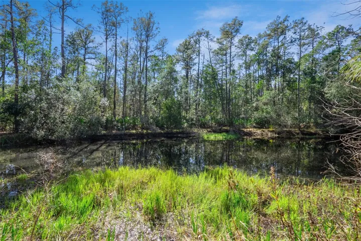 Private Pond