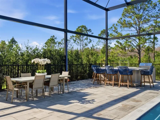 Pool Dining Area & Summer Kitchen
