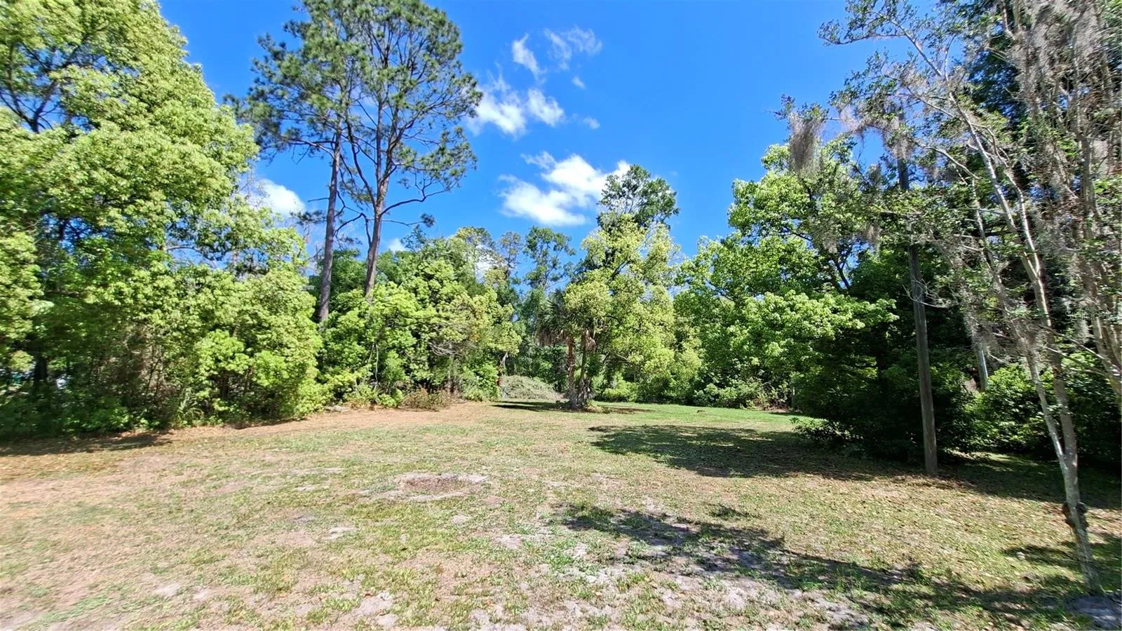 from house, expansive yard