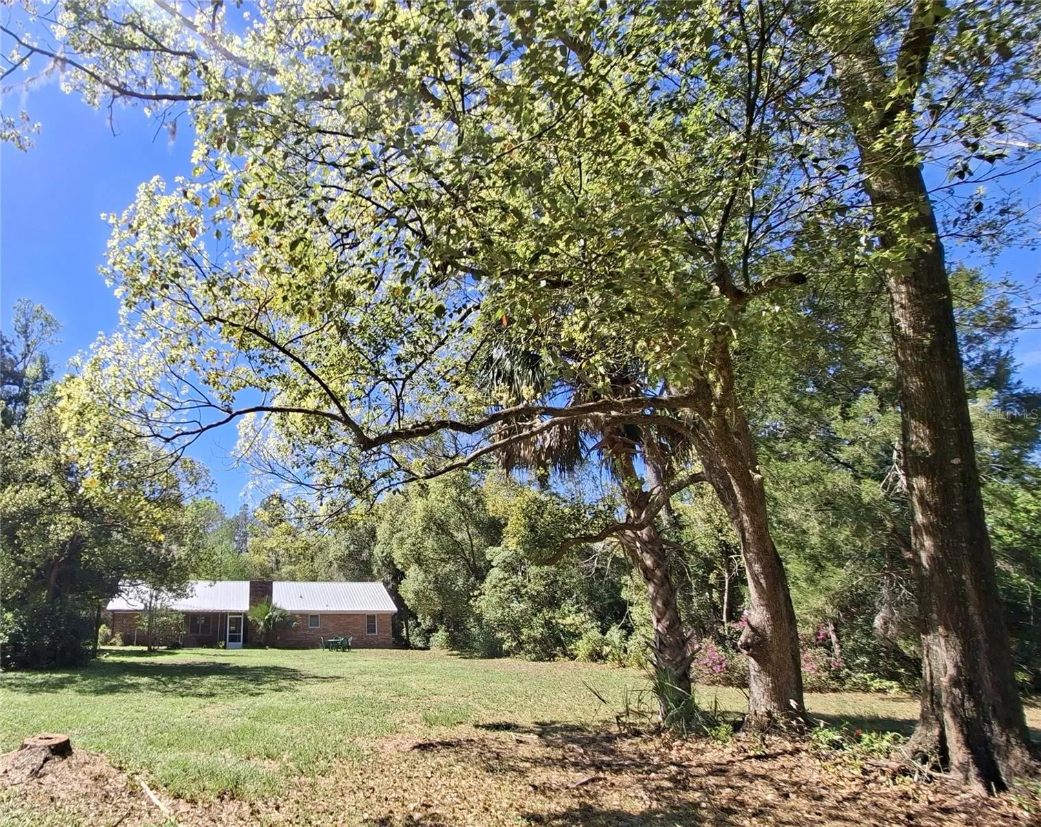 expansive back yard trees and landscape