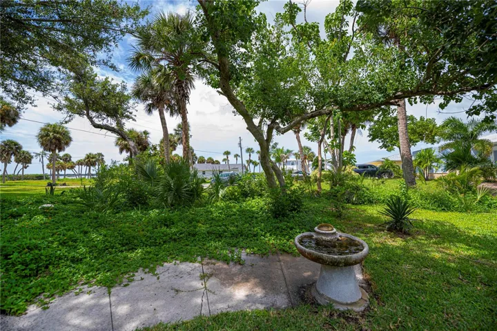 Side yard