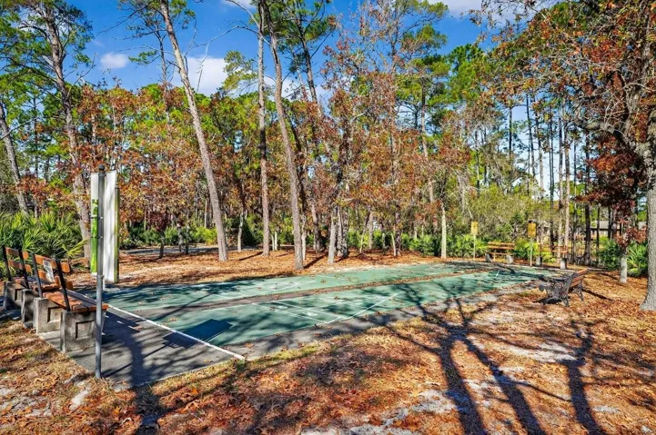 Shuffle Board Courts