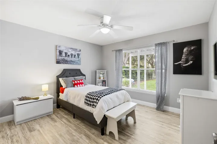 Downstairs Bedroom 2