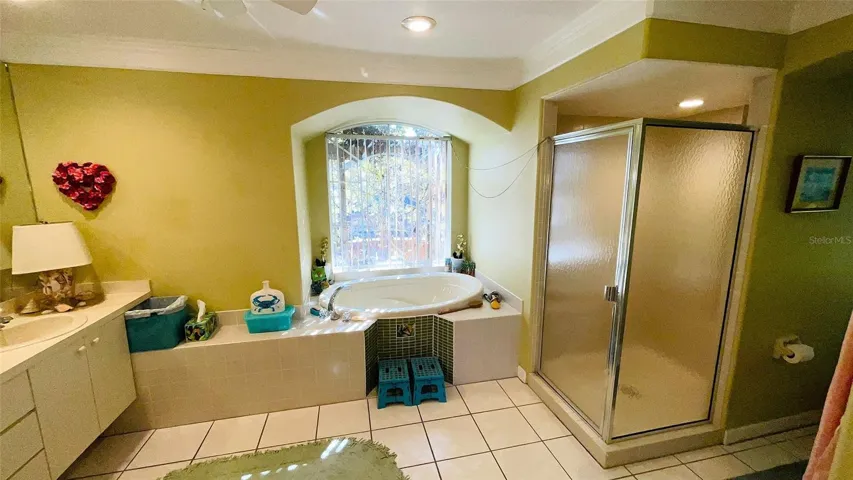 Primary Bathroom w/ Tub & Shower