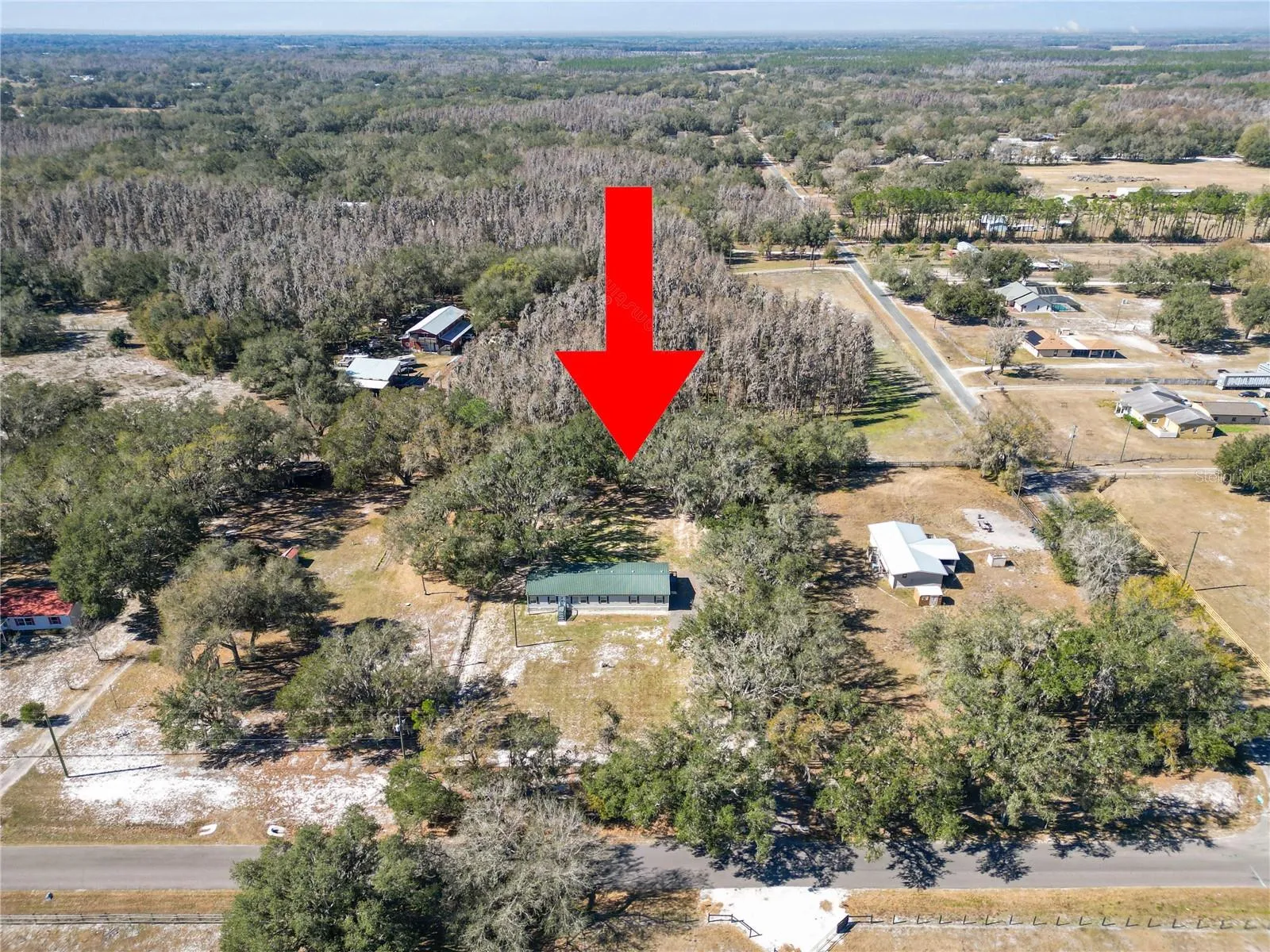 7405 Shoupe Rd, Plant City, Florida 33565 — photo 47