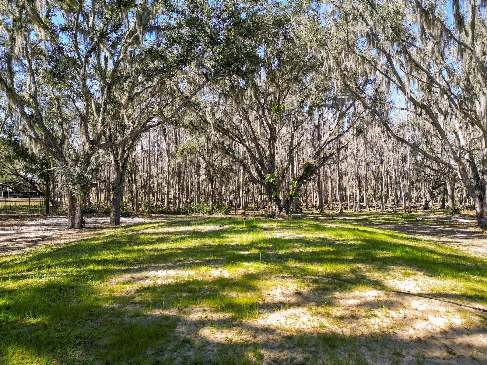 7405 Shoupe Rd, Plant City, Florida 33565 — photo 63