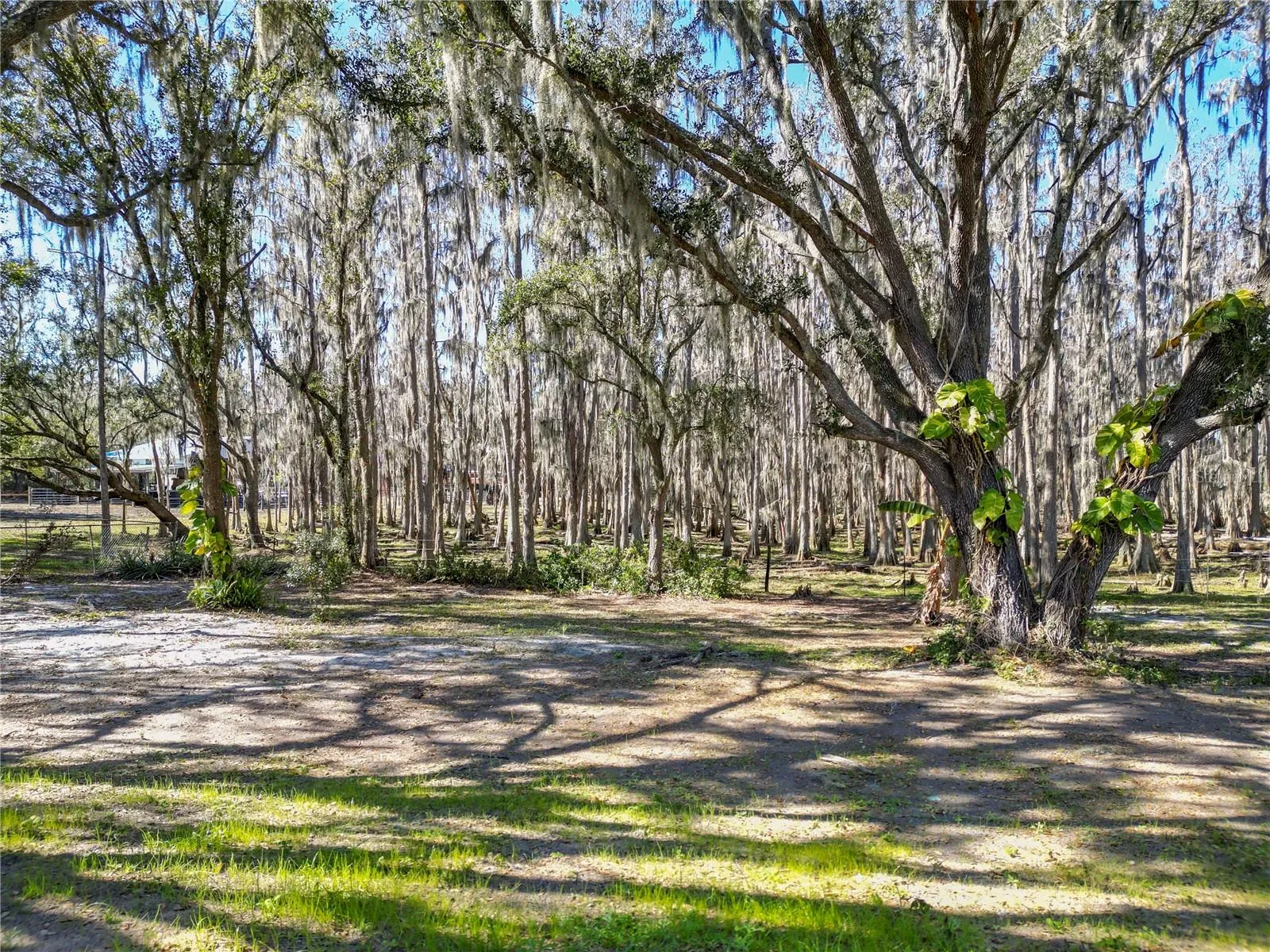 7405 Shoupe Rd, Plant City, Florida 33565 — photo 59